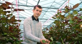 Belgische rozenteler breidt hybride topbelichting uit