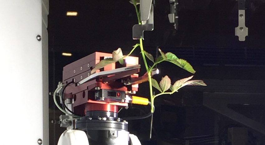 Nieuwe stek-robot van ISO Group voert drie handelingen tegelijk uit