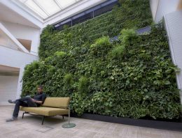 Luchtzuiveringssysteem met planten genomineerd voor innovatieprijs