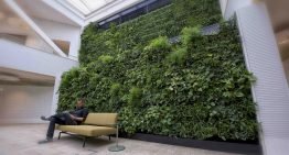 Luchtzuiveringssysteem met planten genomineerd voor innovatieprijs