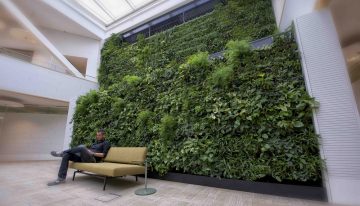 Luchtzuiveringssysteem met planten genomineerd voor innovatieprijs
