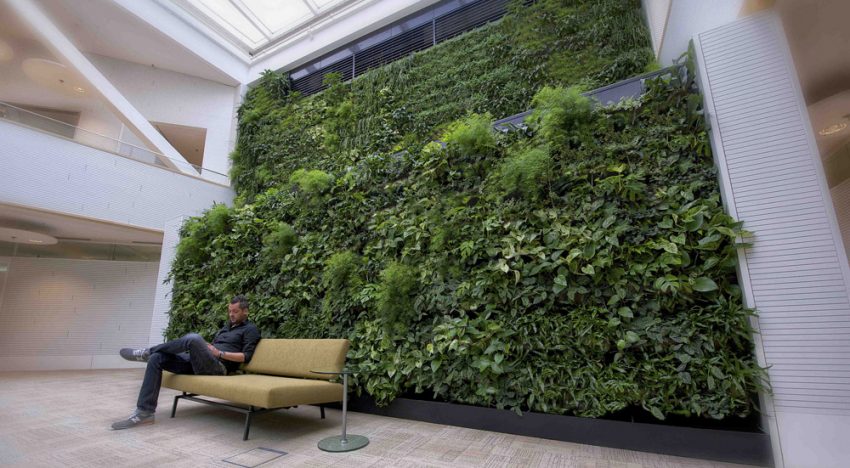 Luchtzuiveringssysteem met planten genomineerd voor innovatieprijs Luchtzuiveringssysteem met planten genomineerd voor innovatieprijs