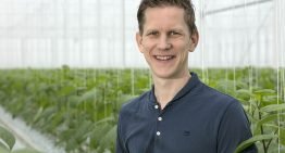 Is optimaal wel optimaal?