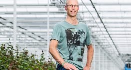 Gewascommissie Roos initieert onderzoek Ralstonia