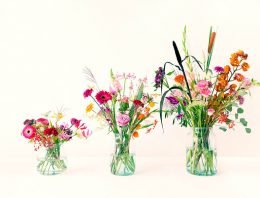 Belg investeert miljoenen in Bloomon