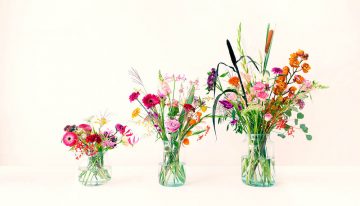 Belg investeert miljoenen in Bloomon