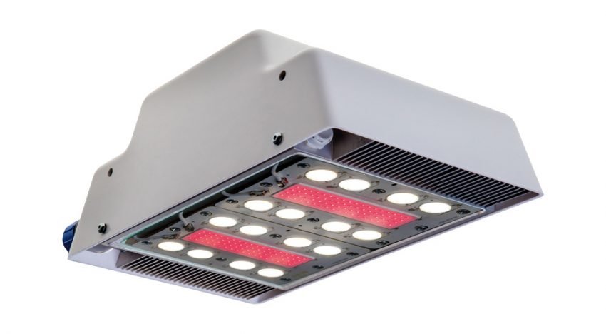 Qwestland introduceert derde generatie LED-lichtbron