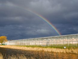 Gebiedsgerichte aanpak verbetert waterkwaliteit Westland-Oostland