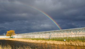 Gebiedsgerichte aanpak verbetert waterkwaliteit Westland-Oostland