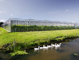 Toeleveranciers staan in de rij voor goedkeuring installaties
