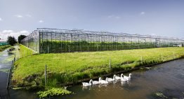 Toeleveranciers staan in de rij voor goedkeuring installaties