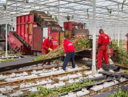 Van zuiveringsplicht naar algemene aandacht voor waterstromen