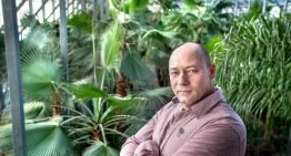 Natuurlijke sfeer in gebouwen met duurzaam geproduceerde planten
