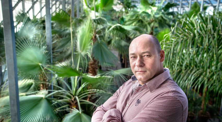 Natuurlijke sfeer in gebouwen met duurzaam geproduceerde planten