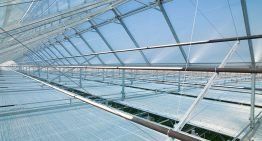 Strategisch onderzoek moet toekomst voor tuinbouw zeker stellen