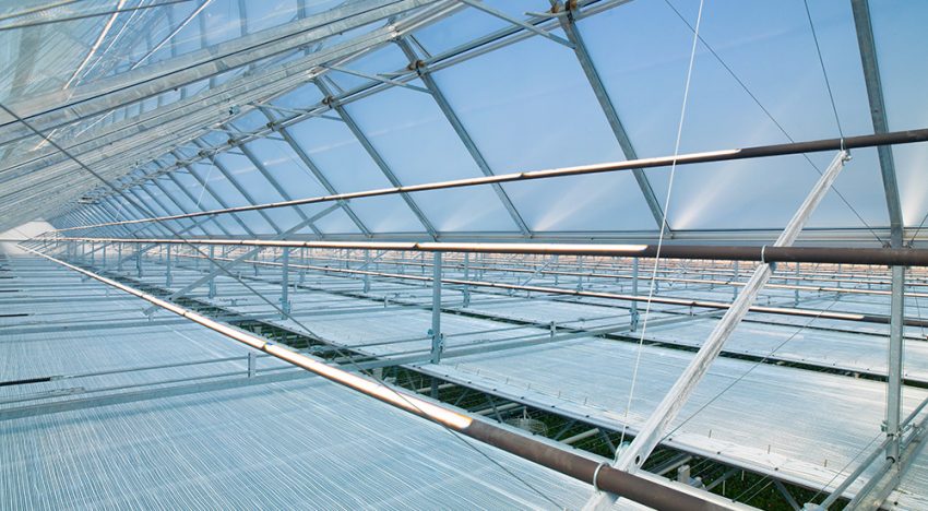 Strategisch onderzoek moet toekomst voor tuinbouw zeker stellen