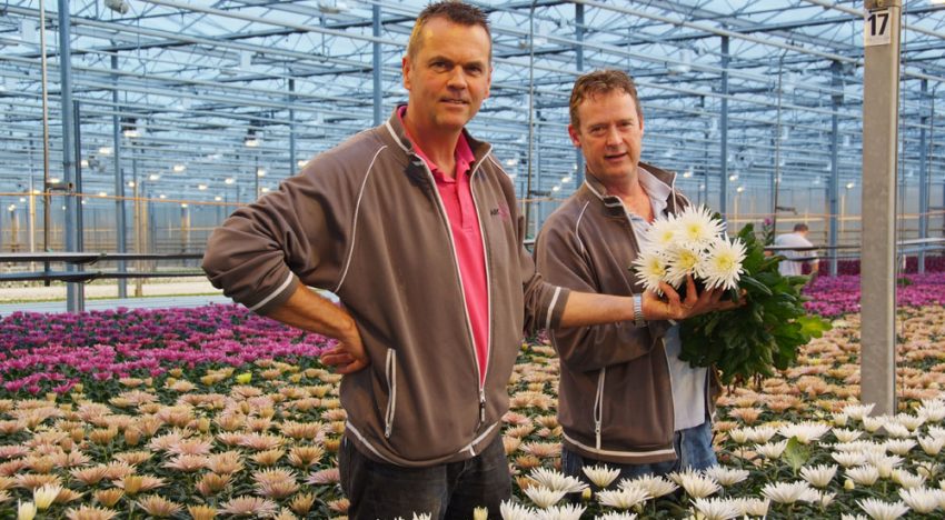 ‘Jezelf steeds vernieuwen, dat blijft noodzakelijk’