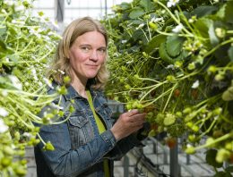 ‘Bundeling expertise weerbaarheid hard nodig’