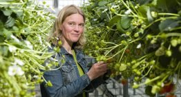 ‘Bundeling expertise weerbaarheid hard nodig’