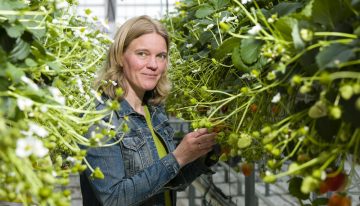 ‘Bundeling expertise weerbaarheid hard nodig’