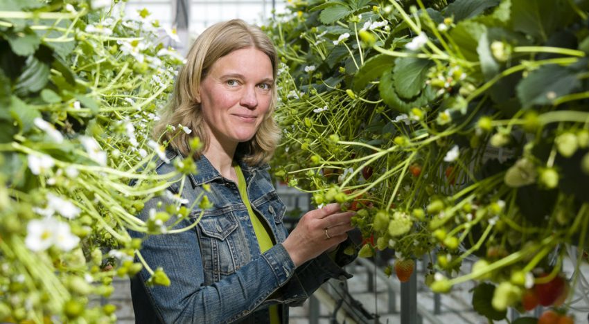 ‘Bundeling expertise weerbaarheid hard nodig’