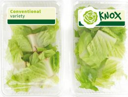 Knox van Rijk Zwaan wint Fruit Logistica Innovation Award