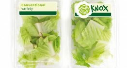 Knox van Rijk Zwaan wint Fruit Logistica Innovation Award