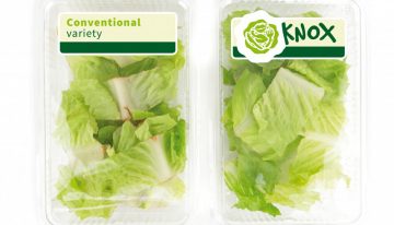Knox van Rijk Zwaan wint Fruit Logistica Innovation Award