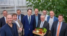 ‘Ook ideaal voor politici: het hele jaar komkommertijd’