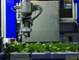ISO Cutting Planter 2500 bewijst zich in praktijk bij Florensis