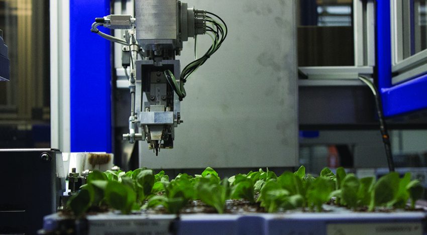 ISO Cutting Planter 2500 bewijst zich in praktijk bij Florensis