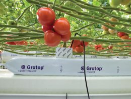 Groeimedia van Grodan voldoen aan hogere eisen EU Ecolabel