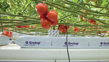 Groeimedia van Grodan voldoen aan hogere eisen EU Ecolabel