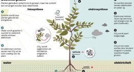 Planten telen met stekker in plaats van zonlicht