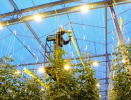 Westland Infra mag tarieven variëren binnen project Smart Grid Westland