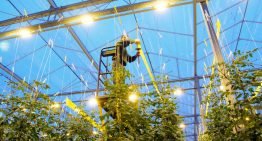 Westland Infra mag tarieven variëren binnen project Smart Grid Westland