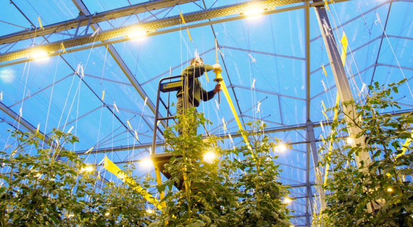 Westland Infra mag tarieven variëren binnen project Smart Grid Westland Westland Infra mag tarieven variëren binnen project Smart Grid Westland