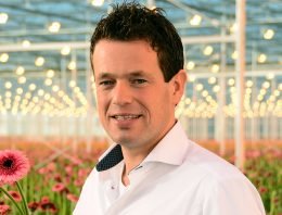 Stoom afblazen