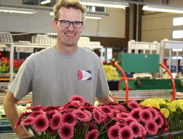 Gerberateler kiest zelfde systeem orderverwerking als bij potplanten