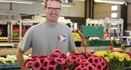 Gerberateler kiest zelfde systeem orderverwerking als bij potplanten