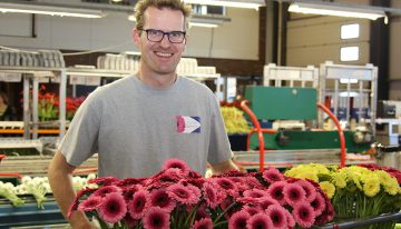 Gerberateler kiest zelfde systeem orderverwerking als bij potplanten