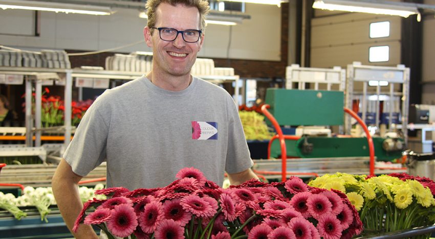 Gerberateler kiest zelfde systeem orderverwerking als bij potplanten Gerberateler kiest zelfde systeem orderverwerking als bij potplanten