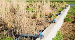 Coöperatie tuinbouwwaterzuivering in Monster opgericht