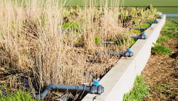 Coöperatie tuinbouwwaterzuivering in Monster opgericht