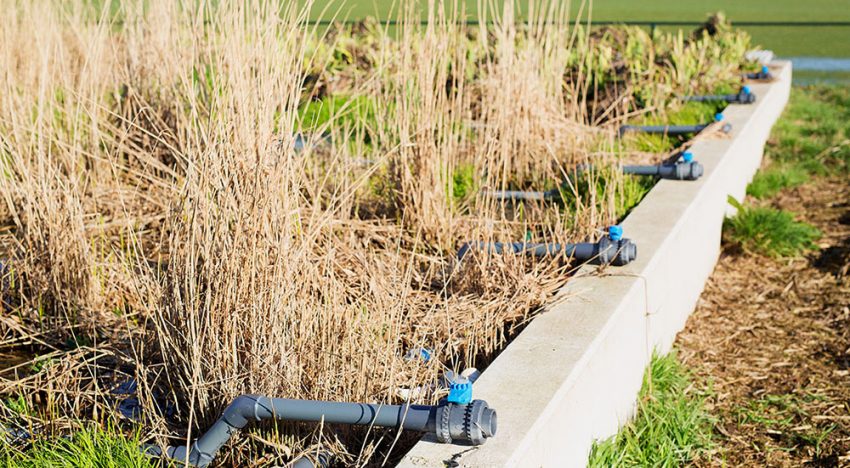Coöperatie tuinbouwwaterzuivering in Monster opgericht