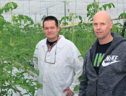 ‘Ondanks de lastige start zie ik een vitaler en sterker gewas’