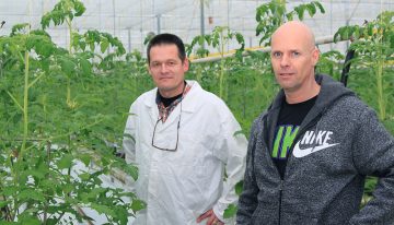 ‘Ondanks de lastige start zie ik een vitaler en sterker gewas’