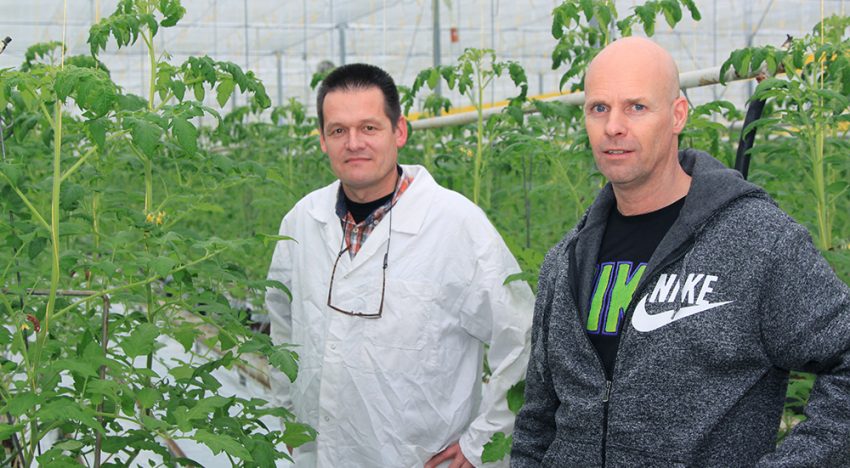 ‘Ondanks de lastige start zie ik een vitaler en sterker gewas’