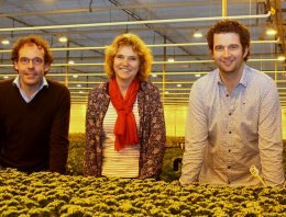 Kom in de Kas trekt publiek met nieuwe media-aandacht