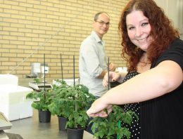 Meting afweereiwitten biedt meeste zicht op plantweerbaarheid